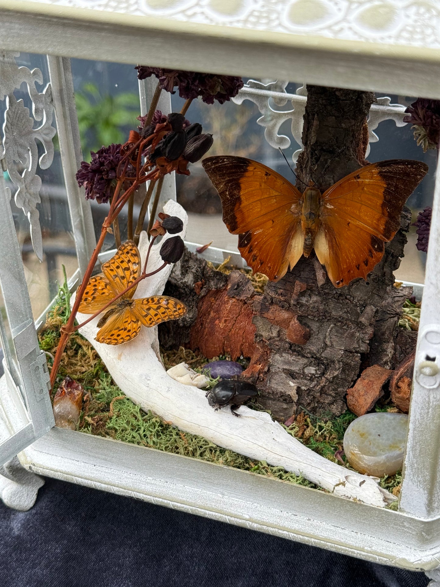 The Amber House