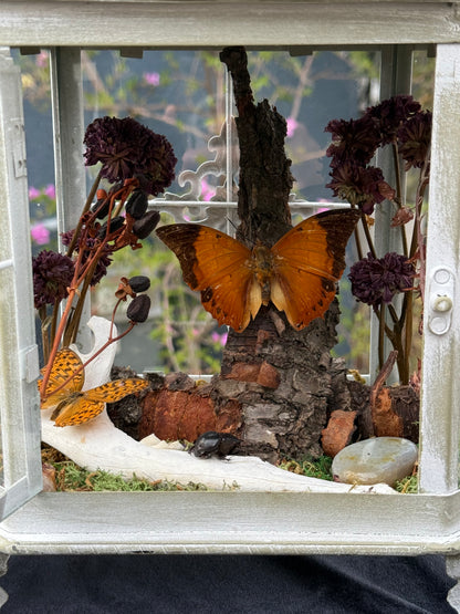 The Amber House