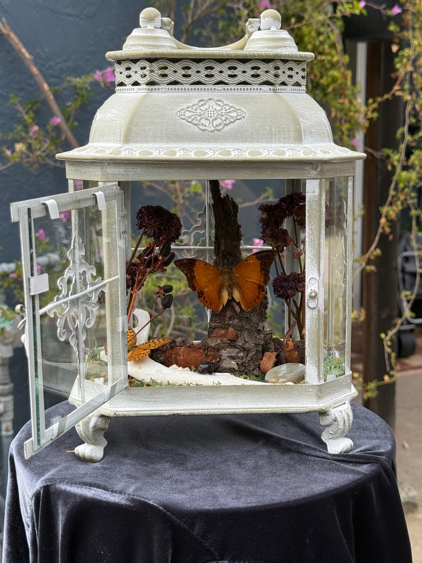 The Amber House