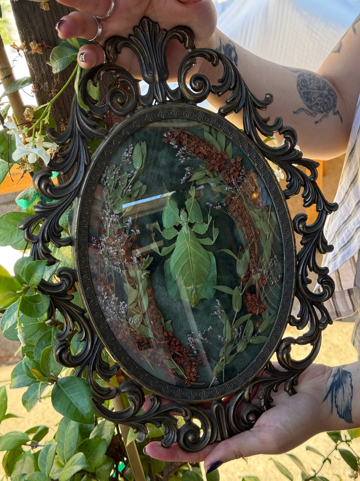 The Lurking Leaf