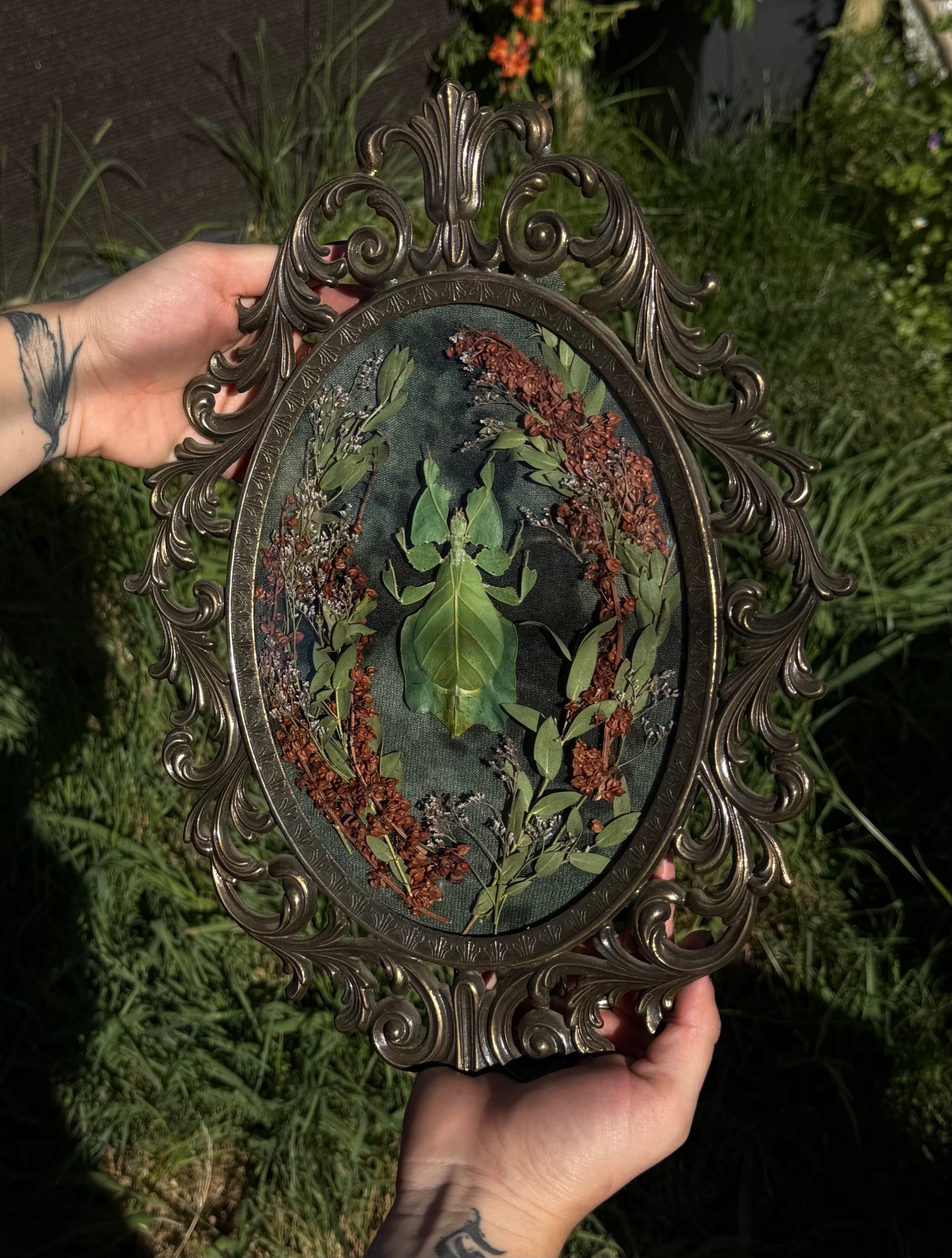 The Lurking Leaf