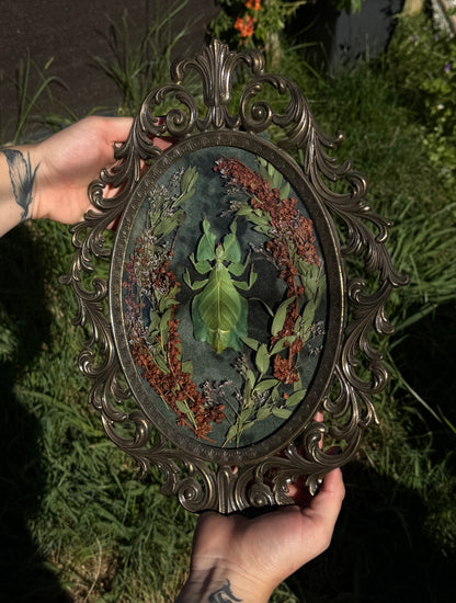 The Lurking Leaf
