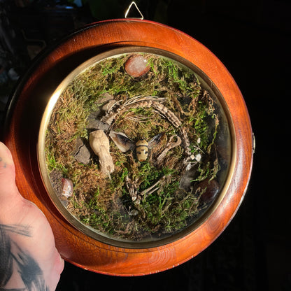 "The Passage of Time"