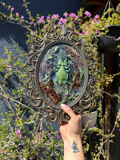 The Lurking Leaf