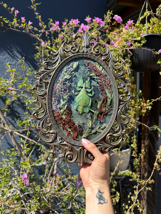 The Lurking Leaf